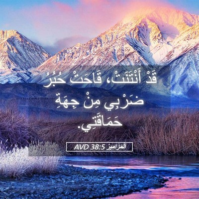 Picture 05 - اَلْمَزَامِيرُ 38:5 AVD - قَدْ أَنْتَنَتْ، قَاحَتْ - Bible Verse Picture