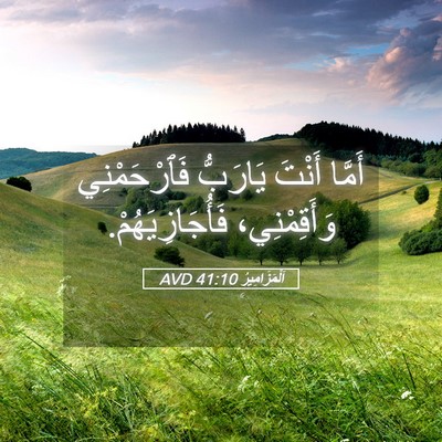 Picture 05 - اَلْمَزَامِيرُ 41:10 AVD - أَمَّا أَنْتَ يَارَبُّ - Bible Verse Picture