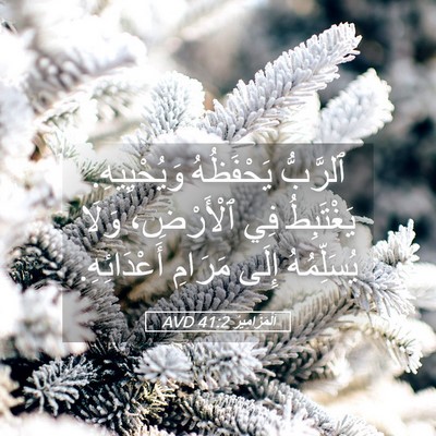 Picture 05 - اَلْمَزَامِيرُ 41:2 AVD - ٱلرَّبُّ يَحْفَظُهُ - Bible Verse Picture