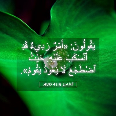 Picture 05 - اَلْمَزَامِيرُ 41:8 AVD - يَقُولُونَ: «أَمْرٌ - Bible Verse Picture