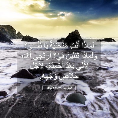 Picture 05 - اَلْمَزَامِيرُ 42:5 AVD - لِمَاذَا أَنْتِ - Bible Verse Picture