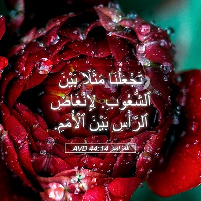 Picture 05 - اَلْمَزَامِيرُ 44:14 AVD - تَجْعَلُنَا مَثَلًا - Bible Verse Picture