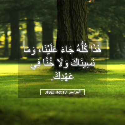 Picture 05 - اَلْمَزَامِيرُ 44:17 AVD - هَذَا كُلُّهُ جَاءَ - Bible Verse Picture