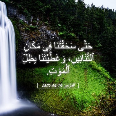 Picture 05 - اَلْمَزَامِيرُ 44:19 AVD - حَتَّى سَحَقْتَنَا فِي - Bible Verse Picture