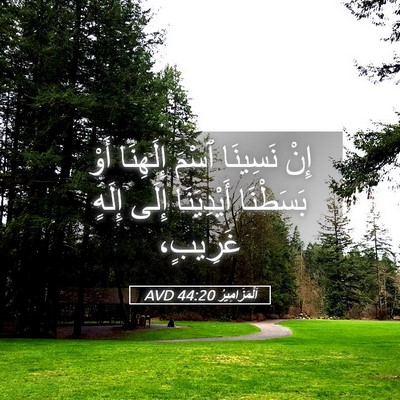 Picture 05 - اَلْمَزَامِيرُ 44:20 AVD - إِنْ نَسِينَا ٱسْمَ - Bible Verse Picture