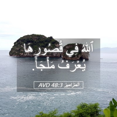 Picture 05 - اَلْمَزَامِيرُ 48:3 AVD - ٱللهُ فِي قُصُورِهَا - Bible Verse Picture
