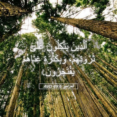 Picture 05 - اَلْمَزَامِيرُ 49:6 AVD - ٱلَّذِينَ يَتَّكِلُونَ - Bible Verse Picture