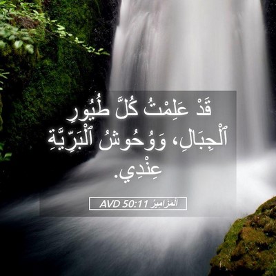 Picture 05 - اَلْمَزَامِيرُ 50:11 AVD - قَدْ عَلِمْتُ كُلَّ - Bible Verse Picture