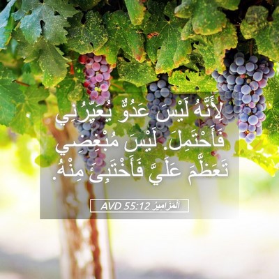 Picture 05 - اَلْمَزَامِيرُ 55:12 AVD - لِأَنَّهُ لَيْسَ عَدُوٌّ - Bible Verse Picture