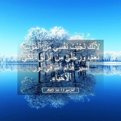 Picture 05 - اَلْمَزَامِيرُ 56:13 AVD - لِأَنَّكَ نَجَّيْتَ - Bible Verse Picture
