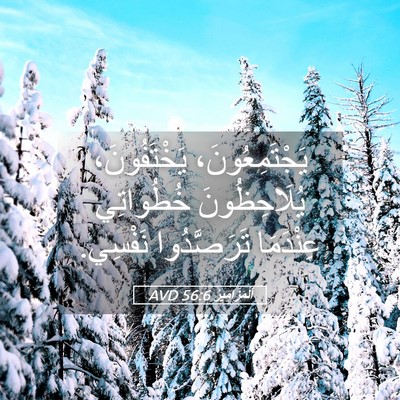 Picture 05 - اَلْمَزَامِيرُ 56:6 AVD - يَجْتَمِعُونَ، - Bible Verse Picture