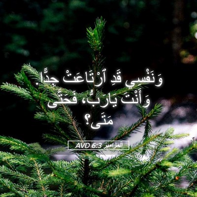 Picture 05 - اَلْمَزَامِيرُ 6:3 AVD - وَنَفْسِي قَدِ ٱرْتَاعَتْ - Bible Verse Picture