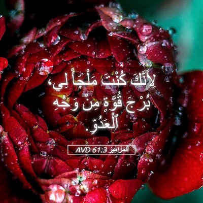 Picture 05 - اَلْمَزَامِيرُ 61:3 AVD - لِأَنَّكَ كُنْتَ مَلْجَأً - Bible Verse Picture