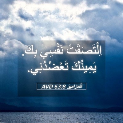 Picture 05 - اَلْمَزَامِيرُ 63:8 AVD - اِلْتَصَقَتْ نَفْسِي بِكَ. - Bible Verse Picture
