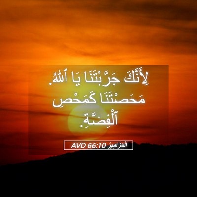Picture 05 - اَلْمَزَامِيرُ 66:10 AVD - لِأَنَّكَ جَرَّبْتَنَا - Bible Verse Picture