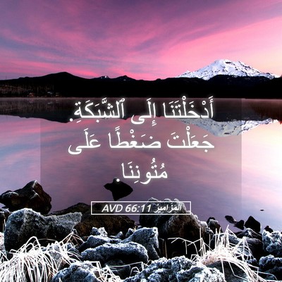 Picture 05 - اَلْمَزَامِيرُ 66:11 AVD - أَدْخَلْتَنَا إِلَى - Bible Verse Picture