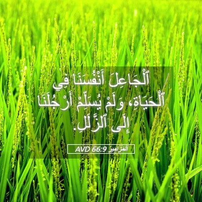 Picture 05 - اَلْمَزَامِيرُ 66:9 AVD - ٱلْجَاعِلَ أَنْفُسَنَا - Bible Verse Picture