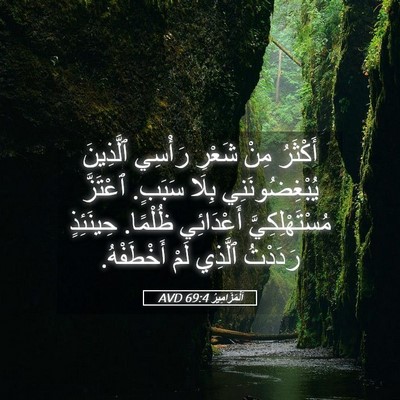 Picture 05 - اَلْمَزَامِيرُ 69:4 AVD - أَكْثَرُ مِنْ شَعْرِ - Bible Verse Picture