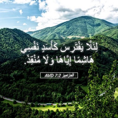 Picture 05 - اَلْمَزَامِيرُ 7:2 AVD - لِئَلَّا يَفْتَرِسَ - Bible Verse Picture