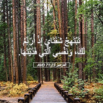 Picture 05 - اَلْمَزَامِيرُ 71:23 AVD - تَبْتَهِجُ شَفَتَايَ إِذْ - Bible Verse Picture