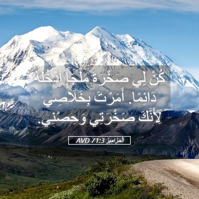 Picture 05 - اَلْمَزَامِيرُ 71:3 AVD - كُنْ لِي صَخْرَةَ مَلْجَإٍ - Bible Verse Picture