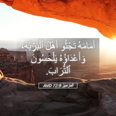 Picture 05 - اَلْمَزَامِيرُ 72:9 AVD - أَمَامَهُ تَجْثُو أَهْلُ - Bible Verse Picture