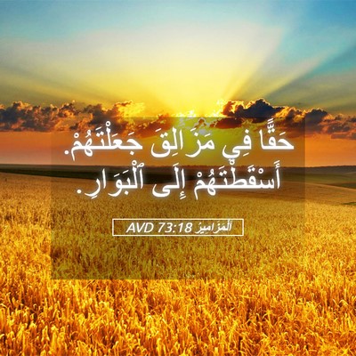 Picture 05 - اَلْمَزَامِيرُ 73:18 AVD - حَقًّا فِي مَزَالِقَ - Bible Verse Picture