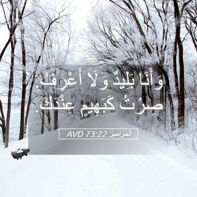 Picture 05 - اَلْمَزَامِيرُ 73:22 AVD - وَأَنَا بَلِيدٌ وَلَا - Bible Verse Picture