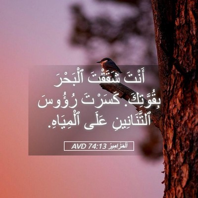 Picture 05 - اَلْمَزَامِيرُ 74:13 AVD - أَنْتَ شَقَقْتَ ٱلْبَحْرَ - Bible Verse Picture