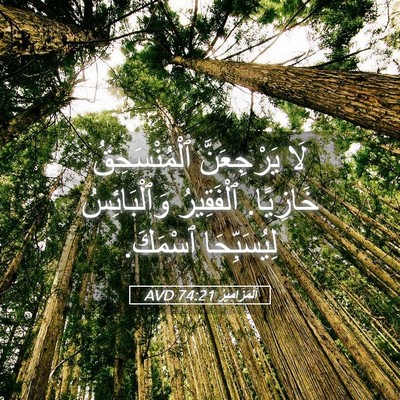 Picture 05 - اَلْمَزَامِيرُ 74:21 AVD - لَا يَرْجِعَنَّ - Bible Verse Picture