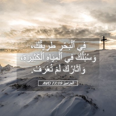 Picture 05 - اَلْمَزَامِيرُ 77:19 AVD - فِي ٱلْبَحْرِ طَرِيقُكَ، - Bible Verse Picture
