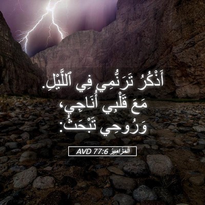 Picture 05 - اَلْمَزَامِيرُ 77:6 AVD - أَذْكُرُ تَرَنُّمِي فِي - Bible Verse Picture