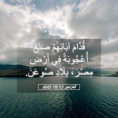 Picture 05 - اَلْمَزَامِيرُ 78:12 AVD - قُدَّامَ آبَائِهِمْ - Bible Verse Picture