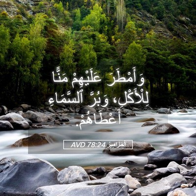 Picture 05 - اَلْمَزَامِيرُ 78:24 AVD - وَأَمْطَرَ عَلَيْهِمْ - Bible Verse Picture