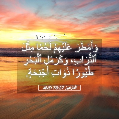 Picture 05 - اَلْمَزَامِيرُ 78:27 AVD - وَأَمْطَرَ عَلَيْهِمْ - Bible Verse Picture