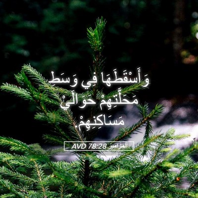 Picture 05 - اَلْمَزَامِيرُ 78:28 AVD - وَأَسْقَطَهَا فِي وَسَطِ - Bible Verse Picture