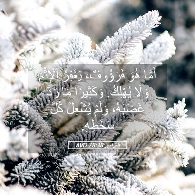 Picture 05 - اَلْمَزَامِيرُ 78:38 AVD - أَمَّا هُوَ فَرَؤُوفٌ، - Bible Verse Picture