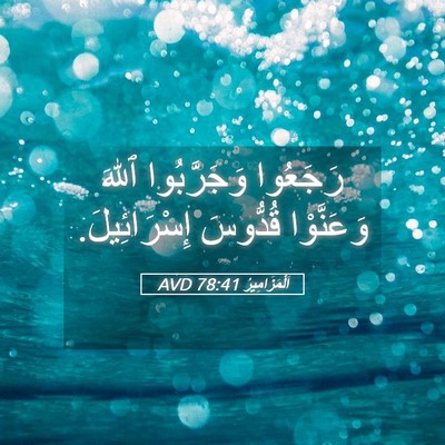 Picture 05 - اَلْمَزَامِيرُ 78:41 AVD - رَجَعُوا وَجَرَّبُوا - Bible Verse Picture