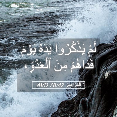 Picture 05 - اَلْمَزَامِيرُ 78:42 AVD - لَمْ يَذْكُرُوا يَدَهُ - Bible Verse Picture