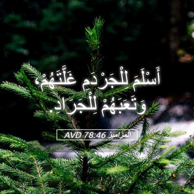 Picture 05 - اَلْمَزَامِيرُ 78:46 AVD - أَسْلَمَ لِلْجَرْدَمِ - Bible Verse Picture