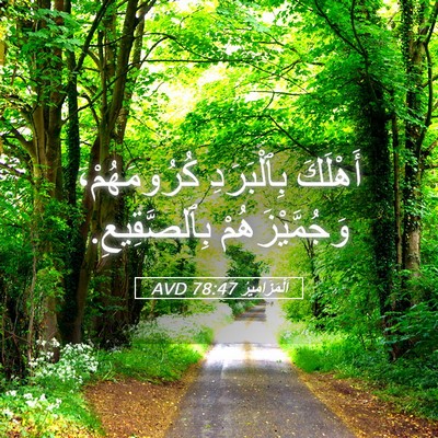 Picture 05 - اَلْمَزَامِيرُ 78:47 AVD - أَهْلَكَ بِٱلْبَرَدِ - Bible Verse Picture