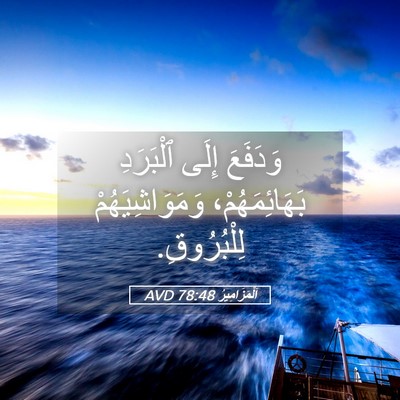 Picture 05 - اَلْمَزَامِيرُ 78:48 AVD - وَدَفَعَ إِلَى ٱلْبَرَدِ - Bible Verse Picture