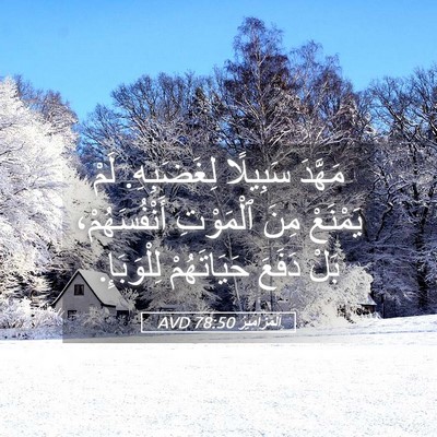 Picture 05 - اَلْمَزَامِيرُ 78:50 AVD - مَهَّدَ سَبِيلًا - Bible Verse Picture