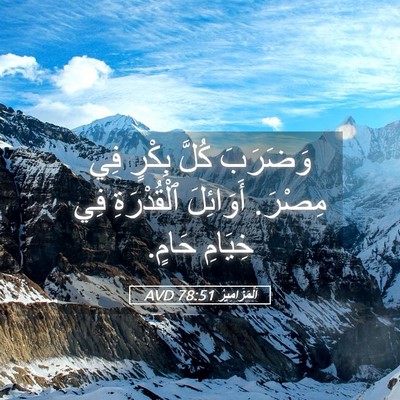 Picture 05 - اَلْمَزَامِيرُ 78:51 AVD - وَضَرَبَ كُلَّ بِكْرٍ فِي - Bible Verse Picture