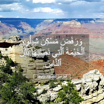 Picture 05 - اَلْمَزَامِيرُ 78:60 AVD - وَرَفَضَ مَسْكِنَ - Bible Verse Picture