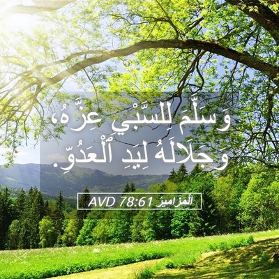 Picture 05 - اَلْمَزَامِيرُ 78:61 AVD - وَسَلَّمَ لِلسَّبْيِ - Bible Verse Picture
