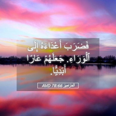 Picture 05 - اَلْمَزَامِيرُ 78:66 AVD - فَضَرَبَ أَعْدَاءَهُ - Bible Verse Picture