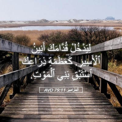 Picture 05 - اَلْمَزَامِيرُ 79:11 AVD - لِيَدْخُلْ قُدَّامَكَ - Bible Verse Picture