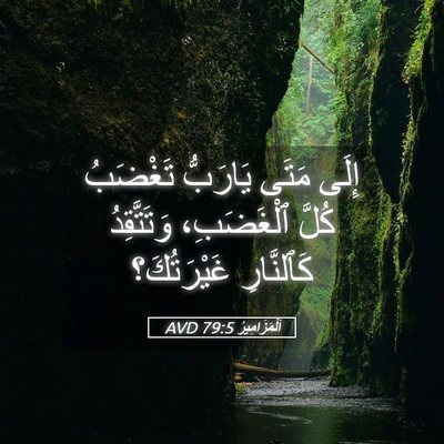 Picture 05 - اَلْمَزَامِيرُ 79:5 AVD - إِلَى مَتَى يَارَبُّ - Bible Verse Picture