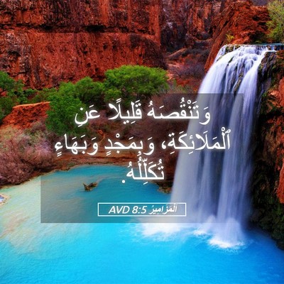 Picture 05 - اَلْمَزَامِيرُ 8:5 AVD - وَتَنْقُصَهُ قَلِيلًا - Bible Verse Picture